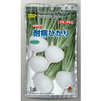 送料無料　[かぶ]　耐病ひかり1dl　タキイ種苗(株)