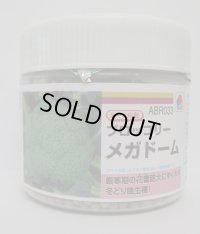 送料無料　[ブロッコリー]　メガドーム　5000粒　ペレット種子　タキイ種苗(株)