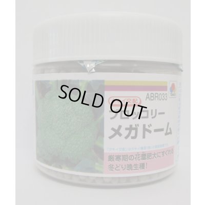 画像1: 送料無料　[ブロッコリー]　メガドーム　5000粒　ペレット種子　タキイ種苗(株)