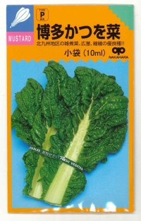 送料無料　[葉物]　博多かつを菜　10ml 中原採種場（株）