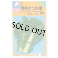 送料無料　博多かつを菜　10ml 中原採種場（株）