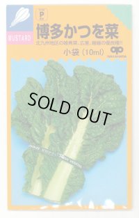送料無料　博多かつを菜　10ml 中原採種場（株）