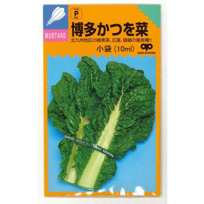 画像1: 送料無料　[葉物]　博多かつを菜　10ml 中原採種場（株）