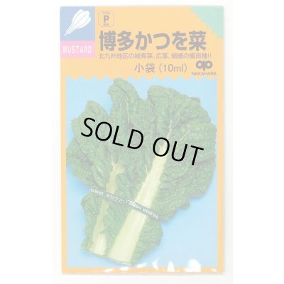 画像1: 送料無料　博多かつを菜　10ml 中原採種場（株）