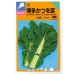 画像1: 送料無料　[葉物]　博多かつを菜　10ml 中原採種場（株） (1)