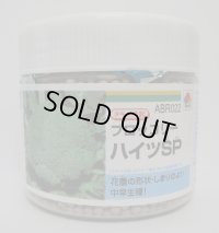 送料無料　[ブロッコリー]　ハイツＳＰ　ペレット5千粒　タキイ種苗(株)