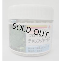 送料無料　[ブロッコリー]　チャレンジャーSP　ペレット5千粒　タキイ種苗(株)