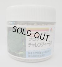 送料無料　[ブロッコリー]　チャレンジャーSP　ペレット5千粒　タキイ種苗(株)