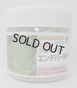 送料無料　[ブロッコリー]　エンデバーＳＰ　ペレット5千粒　タキイ種苗(株)