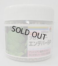 送料無料　[ブロッコリー]　エンデバーＳＰ　ペレット5千粒　タキイ種苗(株)