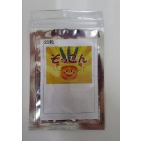 送料無料　[台木/キュウリ用]　ぞっこん　20粒　(株)ときわ研究場