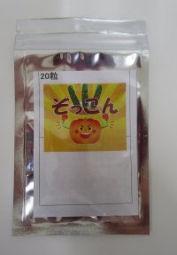送料無料　[台木/キュウリ用]　ぞっこん　20粒　(株)ときわ研究場