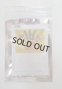送料無料　[台木/キュウリ用]　ぞっこん　20粒　(株)ときわ研究場