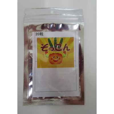 画像1: 送料無料　[台木/キュウリ用]　ぞっこん　20粒　(株)ときわ研究場