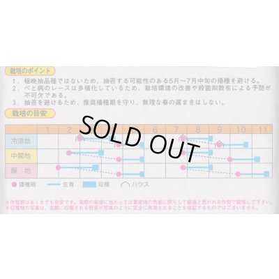 画像3: [ほうれんそう] リョーユウ 3万粒 渡辺農事（株）