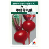送料無料　[かぶ]　本紅赤丸蕪　約1500粒　タキイ種苗（株）GF　