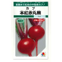 送料無料　[かぶ]　本紅赤丸蕪　約1500粒　タキイ種苗（株）GF　