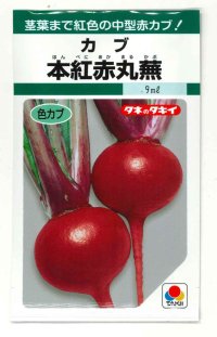 送料無料　[かぶ]　本紅赤丸蕪　約1500粒　タキイ種苗（株）GF　