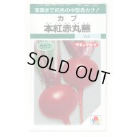 送料無料　[かぶ]　本紅赤丸蕪　約1500粒　タキイ種苗（株）GF　