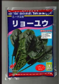 [ほうれんそう]　リョーユウ　3万粒　渡辺農事（株）
