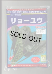 [ほうれんそう]　リョーユウ　3万粒　渡辺農事（株）