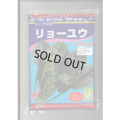 画像1: [ほうれんそう] リョーユウ 3万粒 渡辺農事（株）