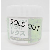 [レタス]　ヴィレタス　コート5000粒　カネコ種苗（株）