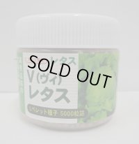 [レタス]　ヴィレタス　コート5000粒　カネコ種苗（株）