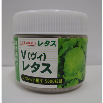 画像1: [レタス]　ヴィレタス　ペレット種子　5000粒　カネコ種苗（株）