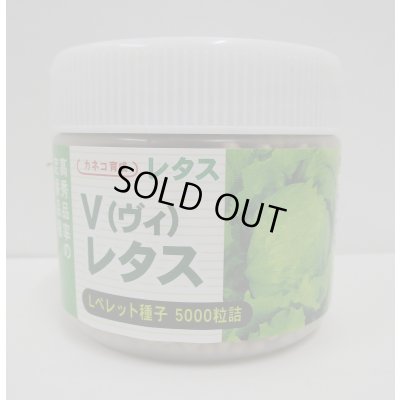 画像1: [レタス]　ヴィレタス　コート5000粒　カネコ種苗（株）
