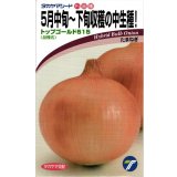 送料無料　[たまねぎ]　トップゴールド515　　20ml　(株)タカヤマシード