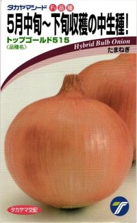 送料無料　[たまねぎ]　トップゴールド515　　20ml　(株)タカヤマシード