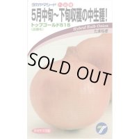 送料無料　[たまねぎ]　トップゴールド515　　20ml　(株)タカヤマシード