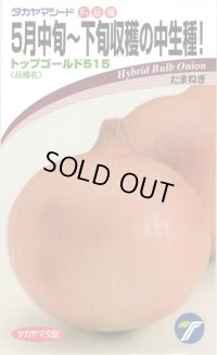 送料無料　[たまねぎ]　トップゴールド515　　20ml　(株)タカヤマシード