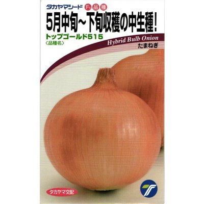 画像1: 送料無料　[たまねぎ]　トップゴールド515　　20ml　(株)タカヤマシード