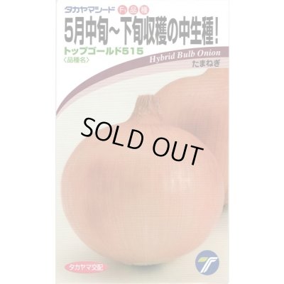 画像1: 送料無料　[たまねぎ]　トップゴールド515　　20ml　(株)タカヤマシード
