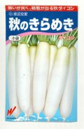 送料無料　大根　秋のきらめき　200粒　渡辺農事（株）