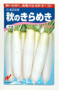 送料無料　大根　秋のきらめき　200粒　渡辺農事（株）