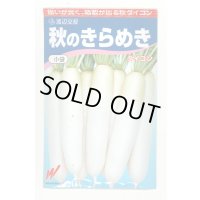送料無料　大根　秋のきらめき　200粒　渡辺農事（株）