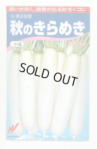 送料無料　大根　秋のきらめき　200粒　渡辺農事（株）