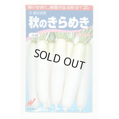 画像1: 送料無料　大根　秋のきらめき　200粒　渡辺農事（株）
