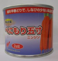 野菜種　人参　べにもり五寸　2dl　渡辺農事（株）