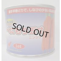 野菜種　人参　べにもり五寸　2dl　渡辺農事（株）