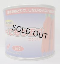野菜種　人参　べにもり五寸　2dl　渡辺農事（株）