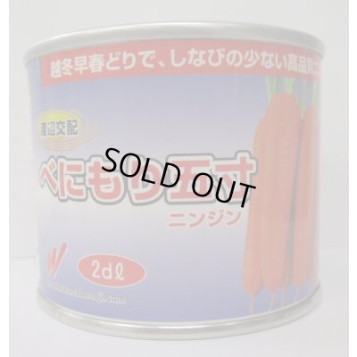 画像1: 野菜種　人参　べにもり五寸　2dl　渡辺農事（株）
