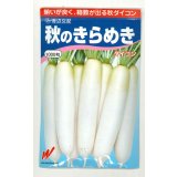 送料無料　大根　秋のきらめき　1000粒　渡辺農事（株）
