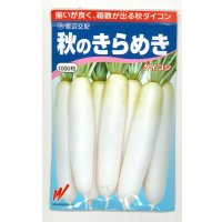 送料無料　大根　秋のきらめき　1000粒　渡辺農事（株）