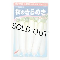 送料無料　大根　秋のきらめき　1000粒　渡辺農事（株）