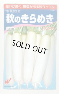 送料無料　大根　秋のきらめき　1000粒　渡辺農事（株）