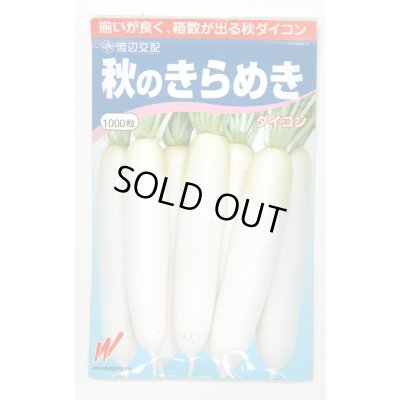 画像1: 送料無料　大根　秋のきらめき　1000粒　渡辺農事（株）